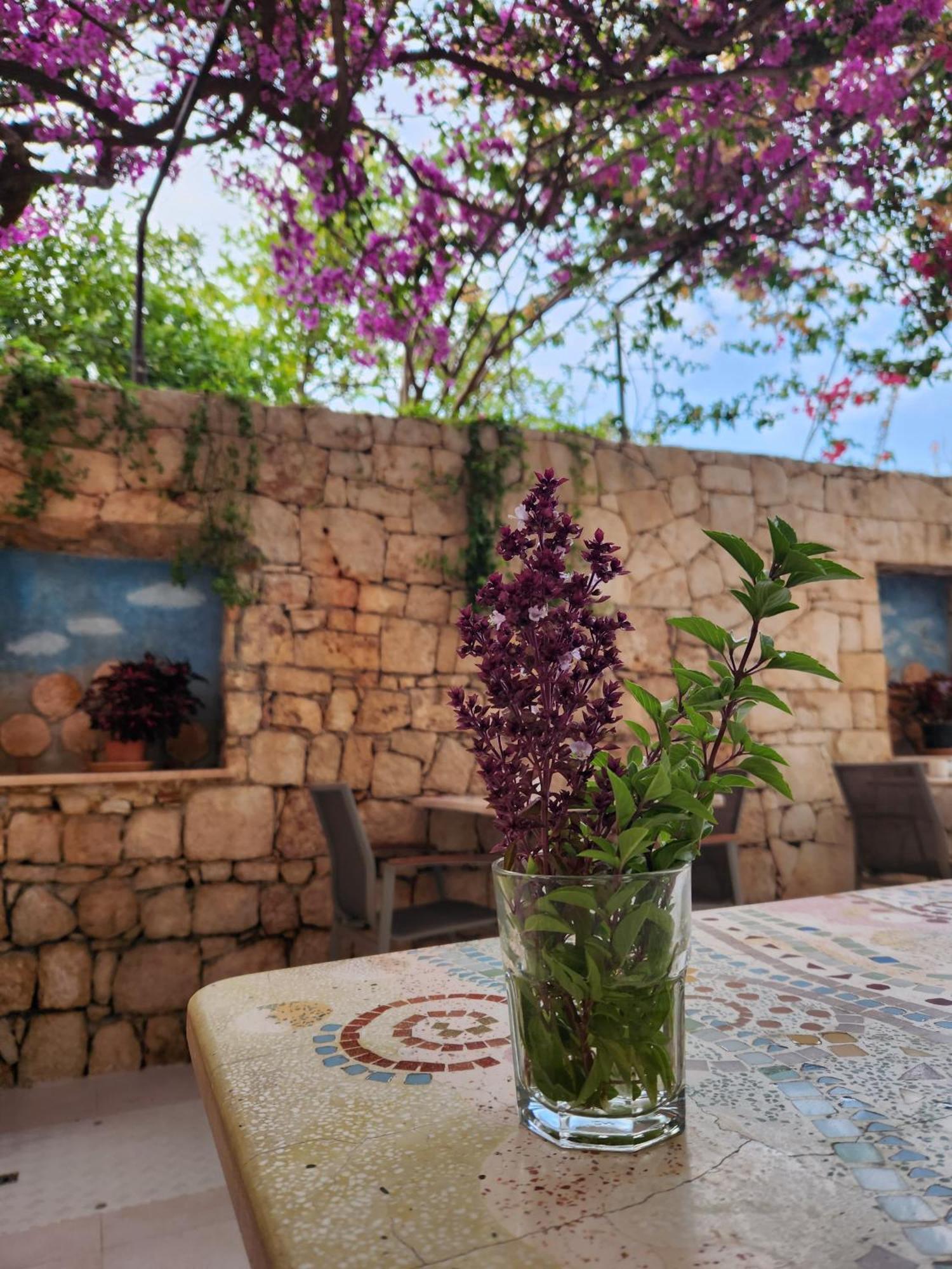 Hotel Begonvil Kaş Exteriör bild